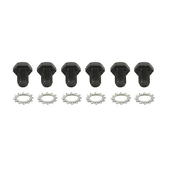 Spectre flex plate bolts front view showing black oxide finish and included lock washers