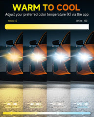 Termitor installed in headlight housing demonstrating correct beam placement