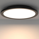 TrustWheel front view ceiling light showing sleek modern design and even illumination benefit