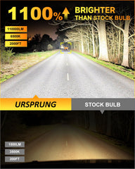 Ursprung bulb close texture highlighting compact 1:1 size and durable finish