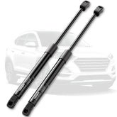 Vepagoo front packaging showing hood struts and included parts for easy fit