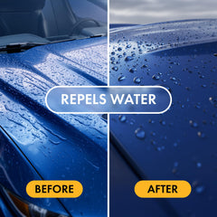 XPEL treated panel with water beading demonstrating hydrophobic benefit