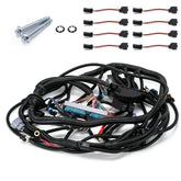 ZJTBLL complete harness front view showing organized connectors and quick installation benefit