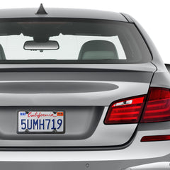 ZXFOOG installed on sedan rear demonstrating street-legal fit and polished look