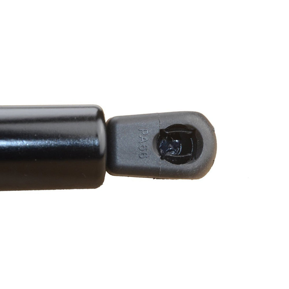Aeagle lift support beside a ruler showing 19.09 inches for accurate size verification