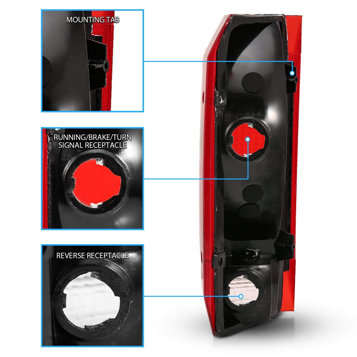 AmeriLite tail light beside ruler showing correct size and fitment