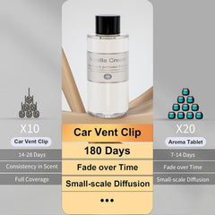 Amor Lyris bottle in diffuser installation showing correct orientation and simple setup