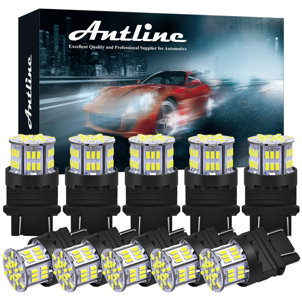 Antline front view of LED bulbs showing bright compact design and reliable fit
