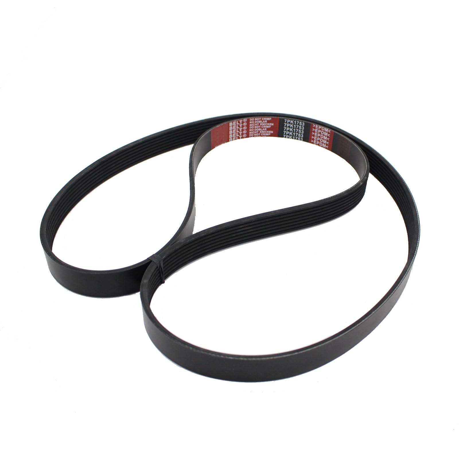 AUCERAMIC belt next to a ruler illustrating scale and top width for accurate replacement