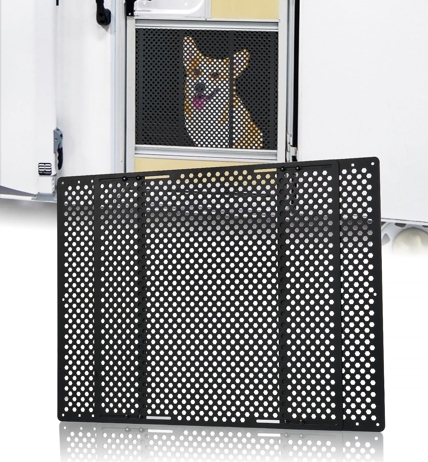 Aupar protector front view showing full-width coverage and durable design