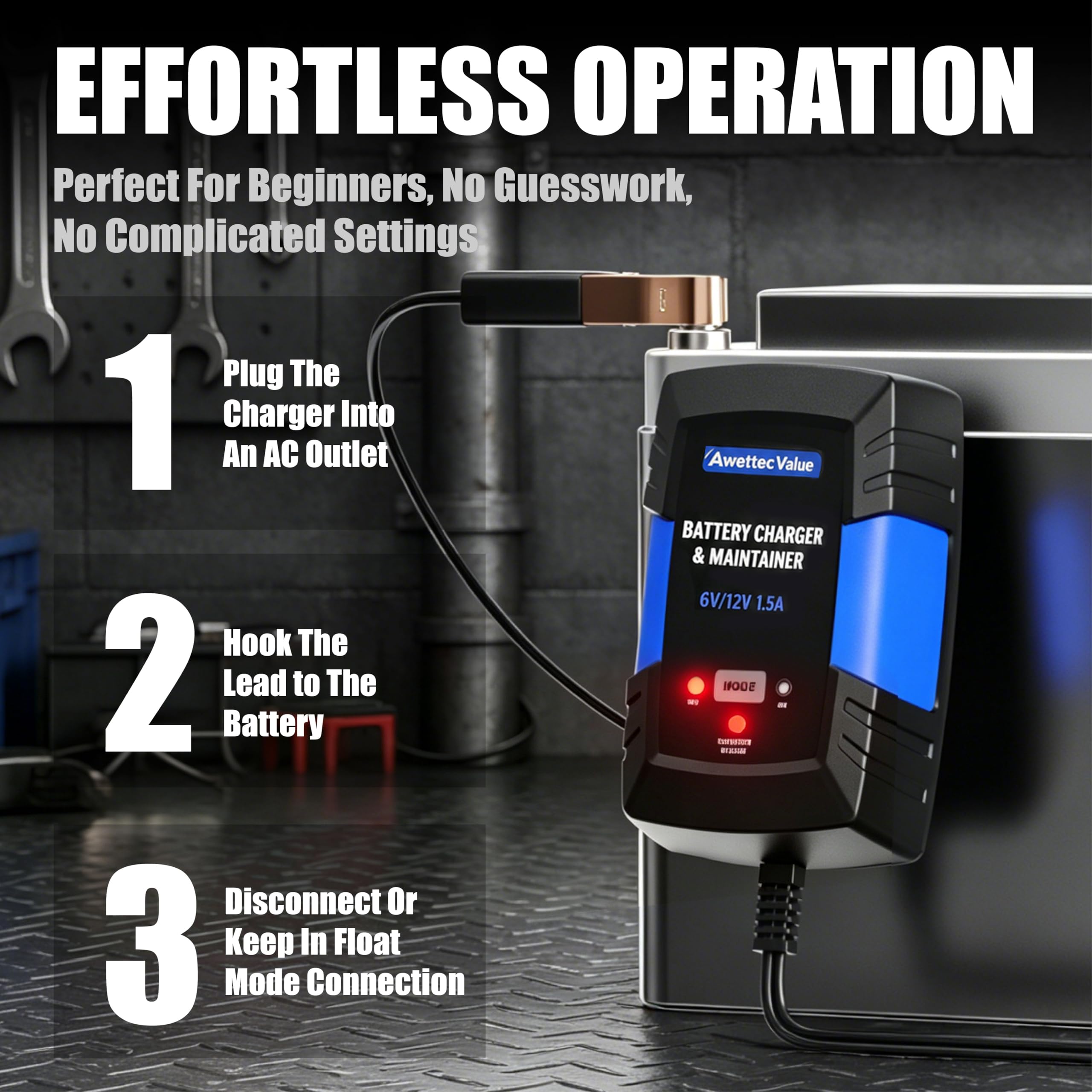 AWELTEC product label closeup showing voltage options and safe compatibility