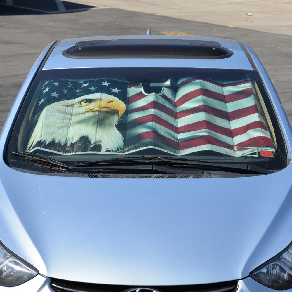 BDK folded visor in trunk showing compact storage and travel-ready convenience