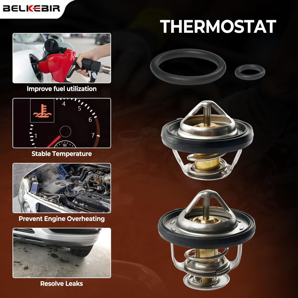 BELKEBIR housing with printed OE cross-reference numbers for easy part matching benefit