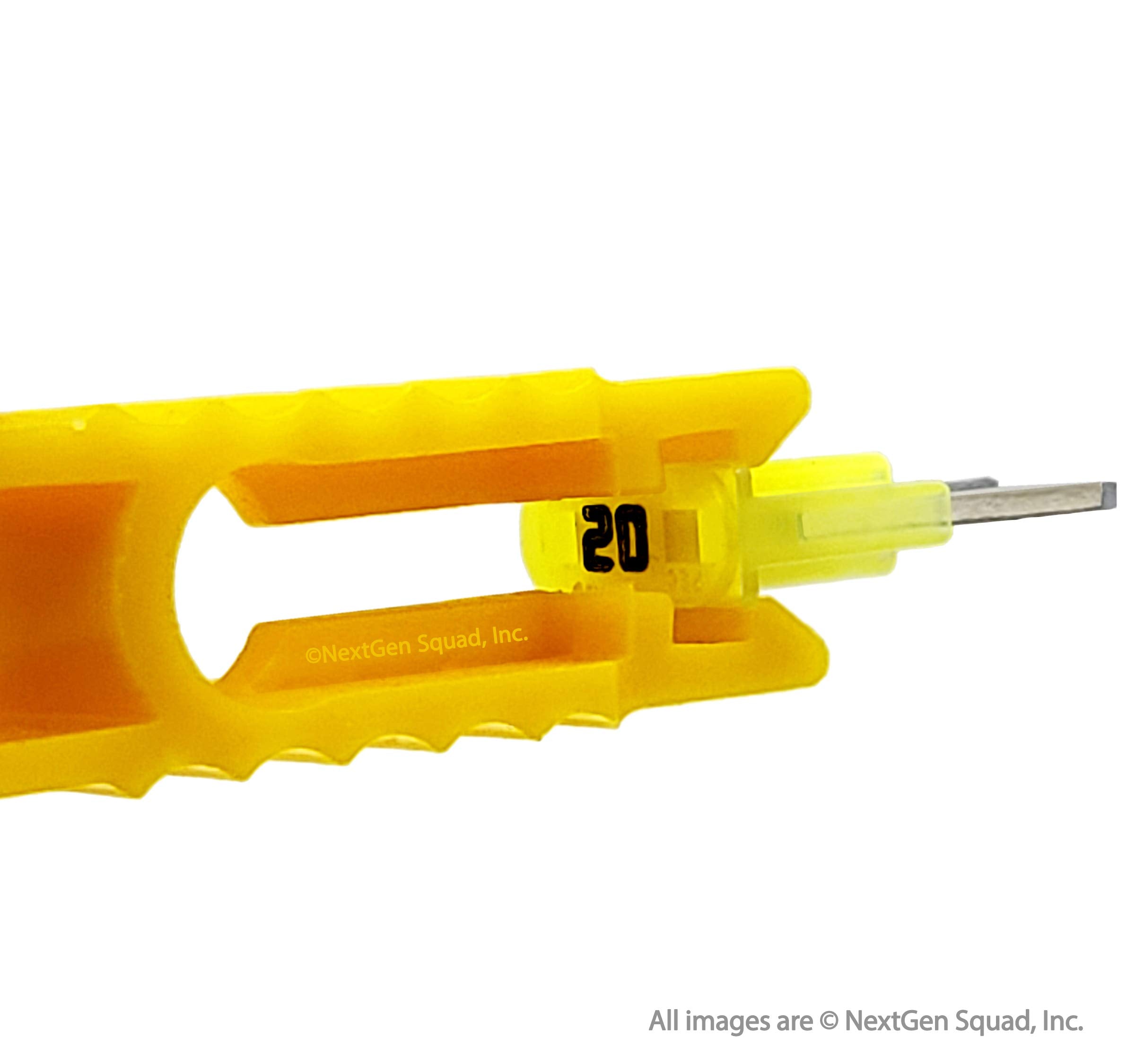 BIOFUSE fuses beside a ruler for size comparison and quick fit verification