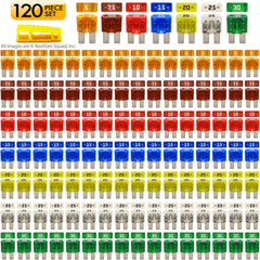 BIOFUSE color-coded fuses laid out by amperage for fast visual selection