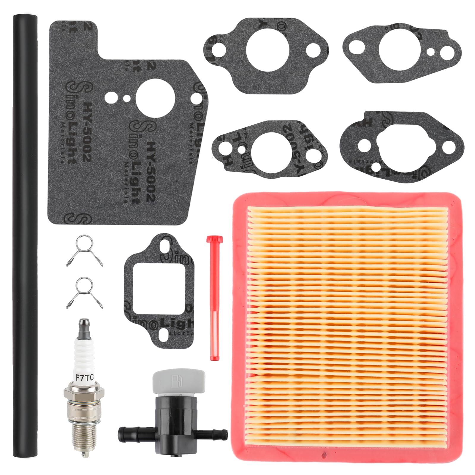 BioLion air filter and spark plug close detail showing included tune-up components