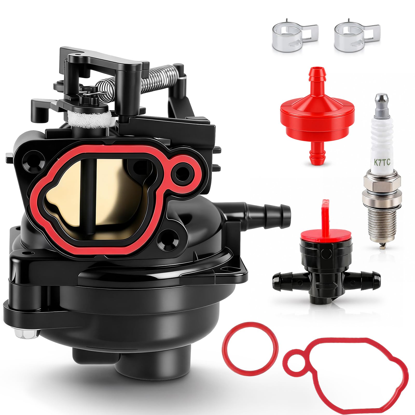 BioLion carburetor front view showing mounting ports and improved fit