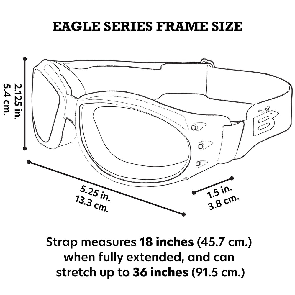 Birdz goggles worn by biker demonstrating protection and stable fit