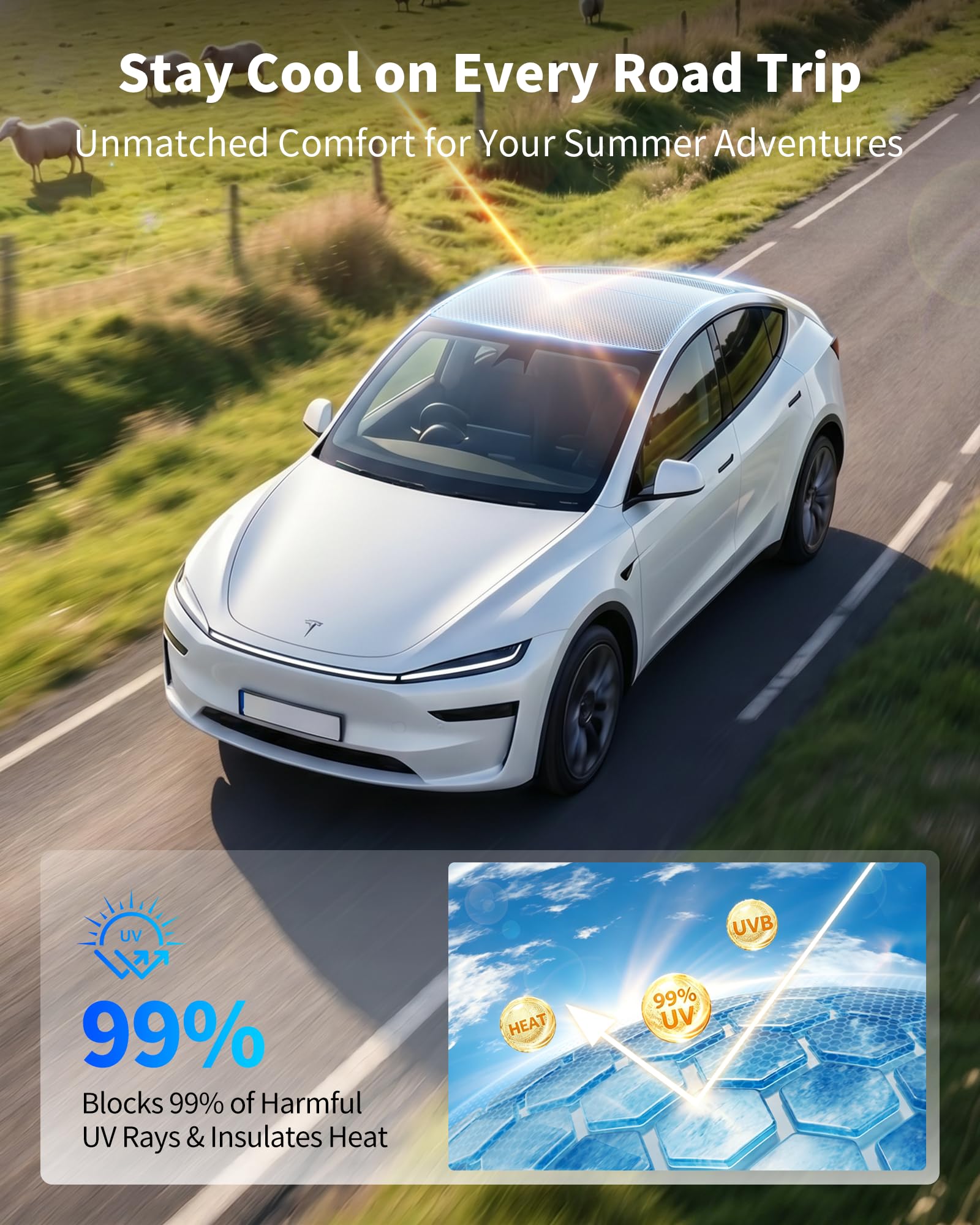 BJBT installed inside front view reducing glare and enhancing comfort