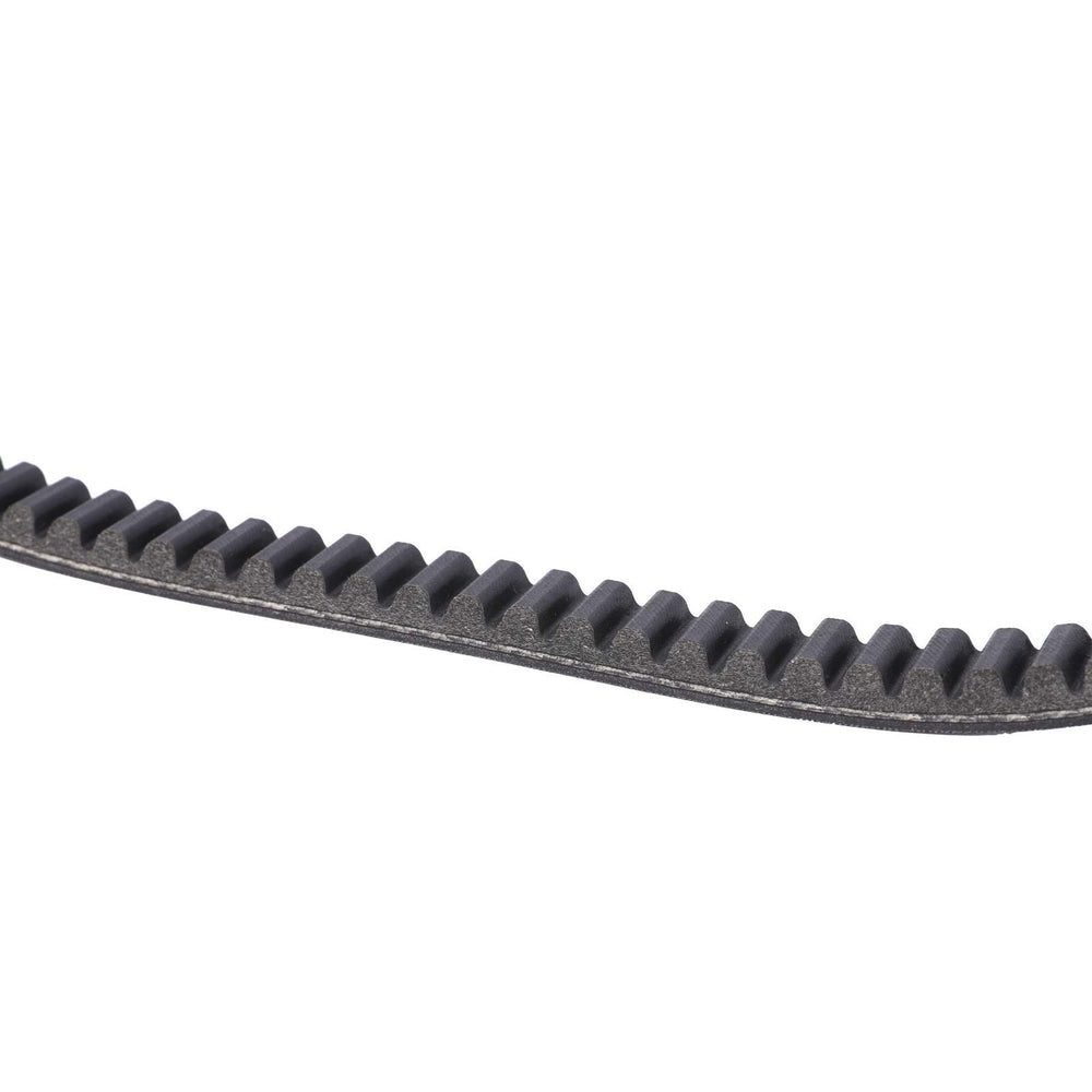 BLACKHORSE-RACING belt edge and cord detail highlighting durable construction