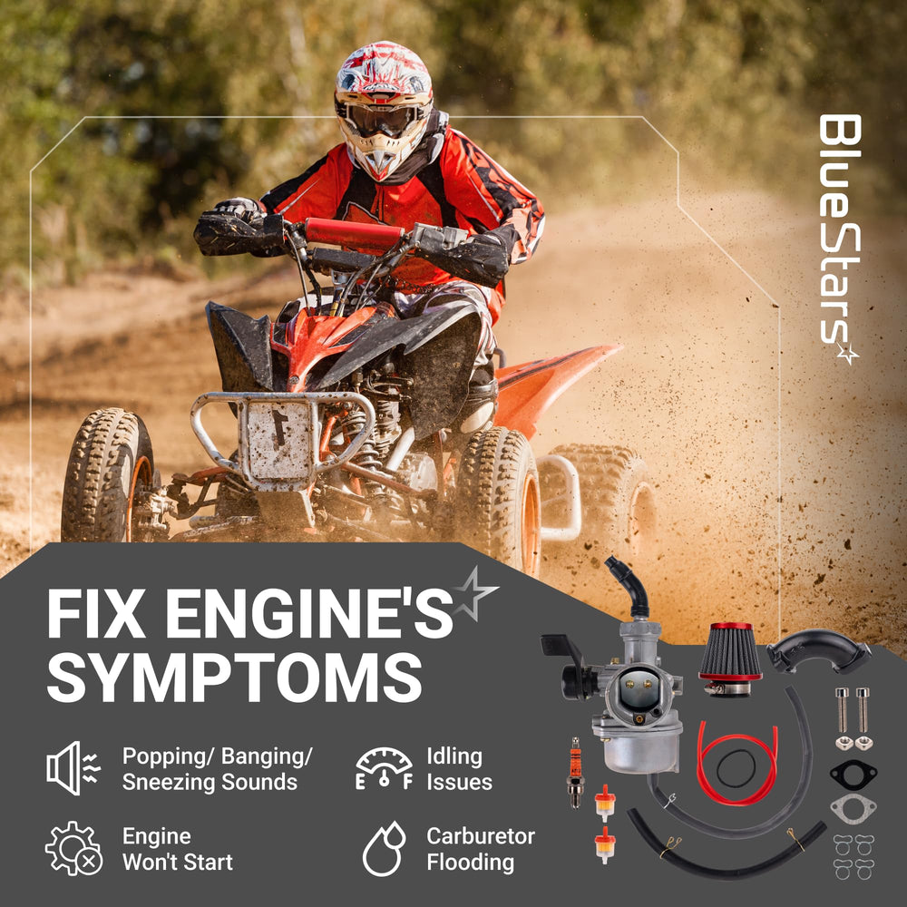 BlueStars carburetor mounted on engine demonstrating correct installation