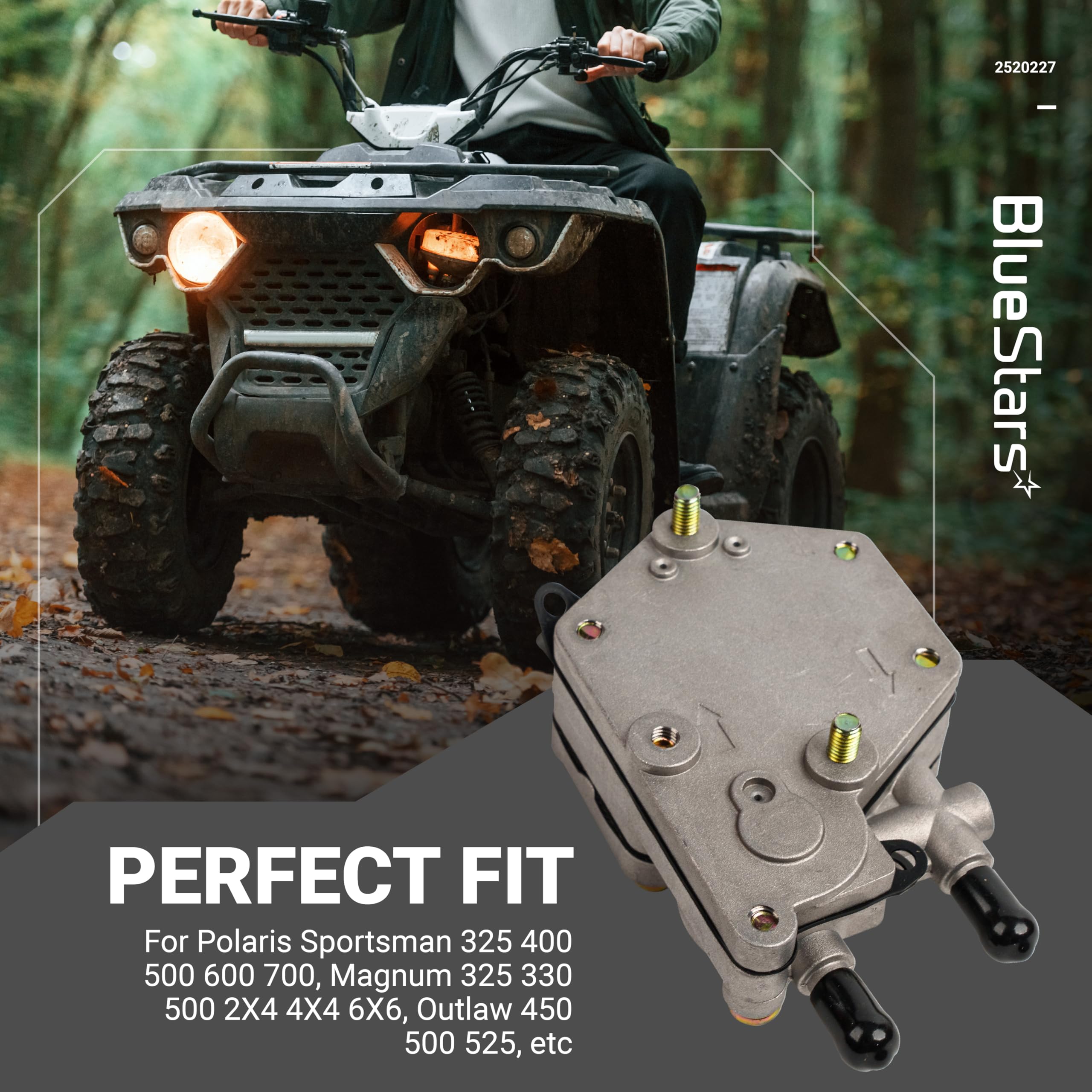 BlueStars pump shown mounted in fuel tank to demonstrate direct fit