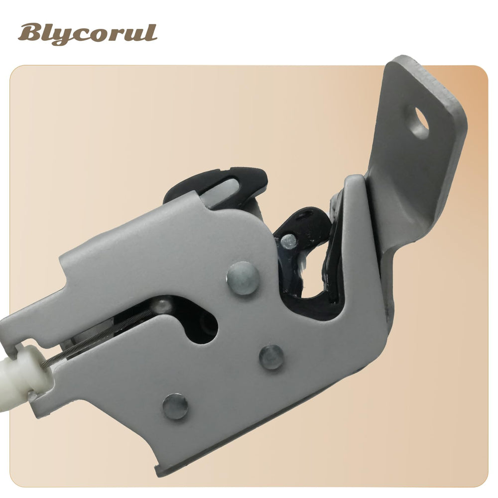 Blycorul packaging and label photo showing part number and warranty