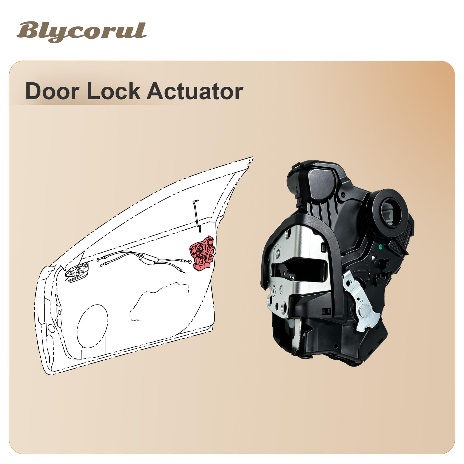 Blycorul passenger front actuator size comparison with ruler for exact fit verification