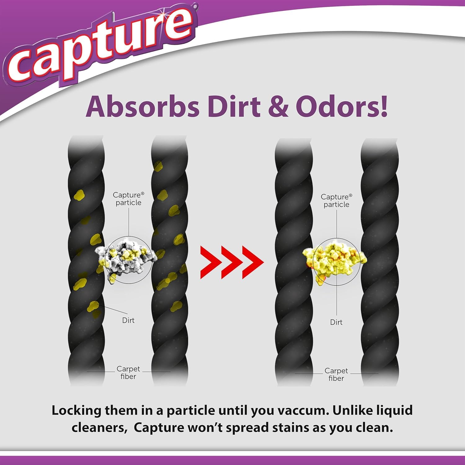 Capture after-clean roomwide view showing refreshed carpet look