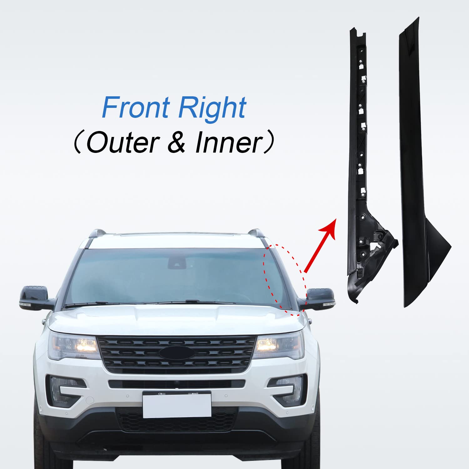 CARMOCAR size comparison with ruler showing correct dimensions for fitment