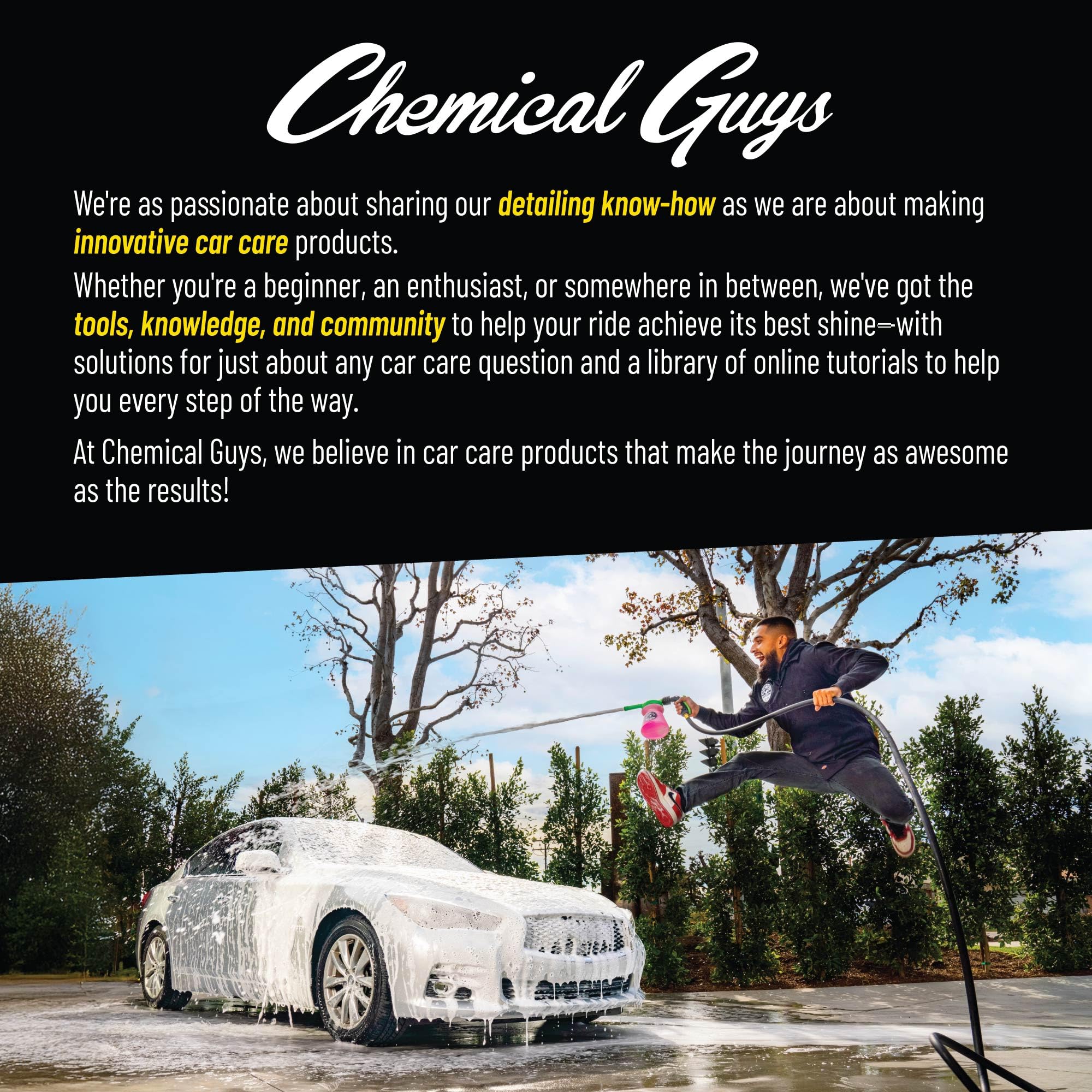 Chemical Guys brushes in a detailing trunk setup for professional use