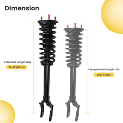 Chonse coil spring and strut side profile illustrating build quality and ride control