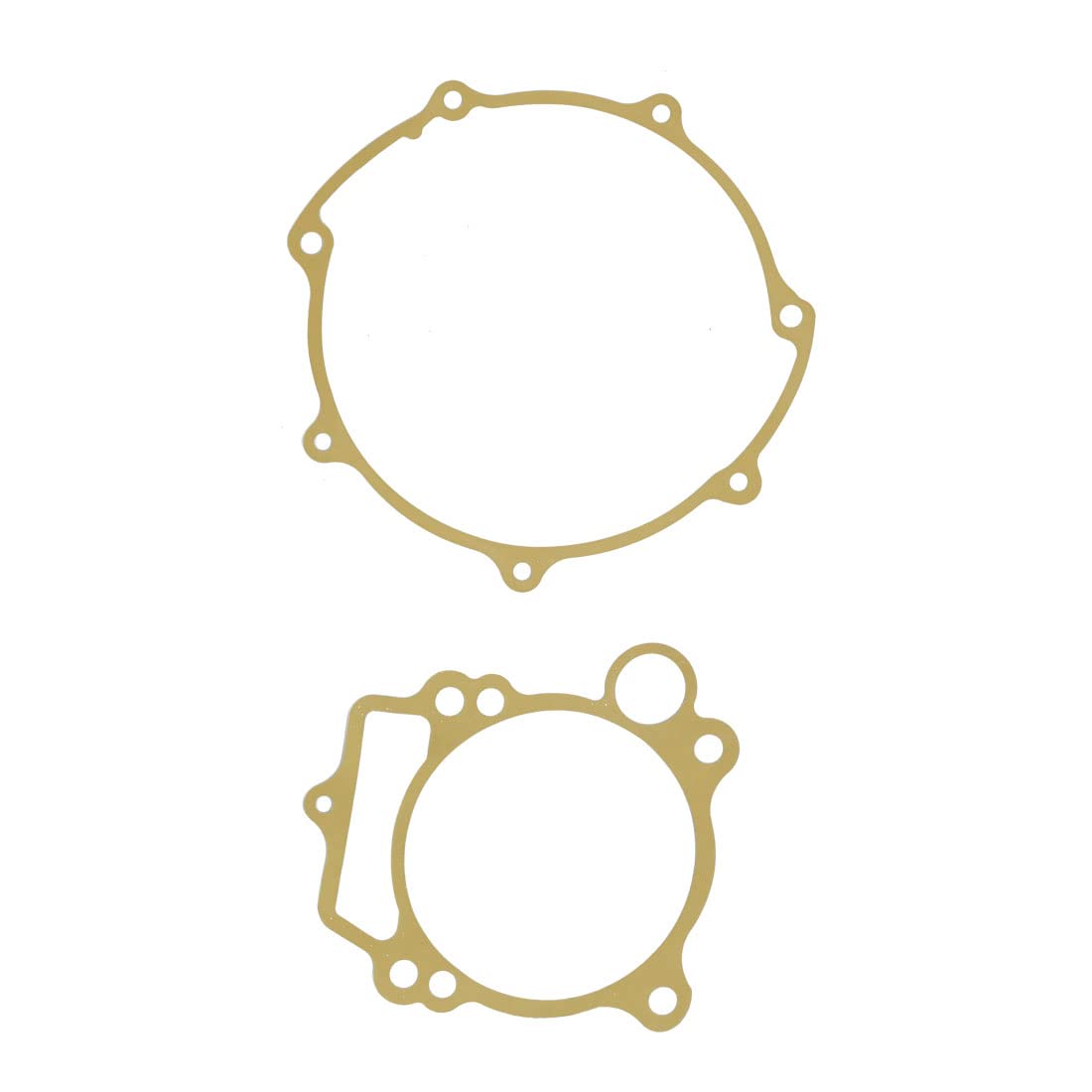 Cylinman oil seal close-up highlighting durable lip for reliable oil containment