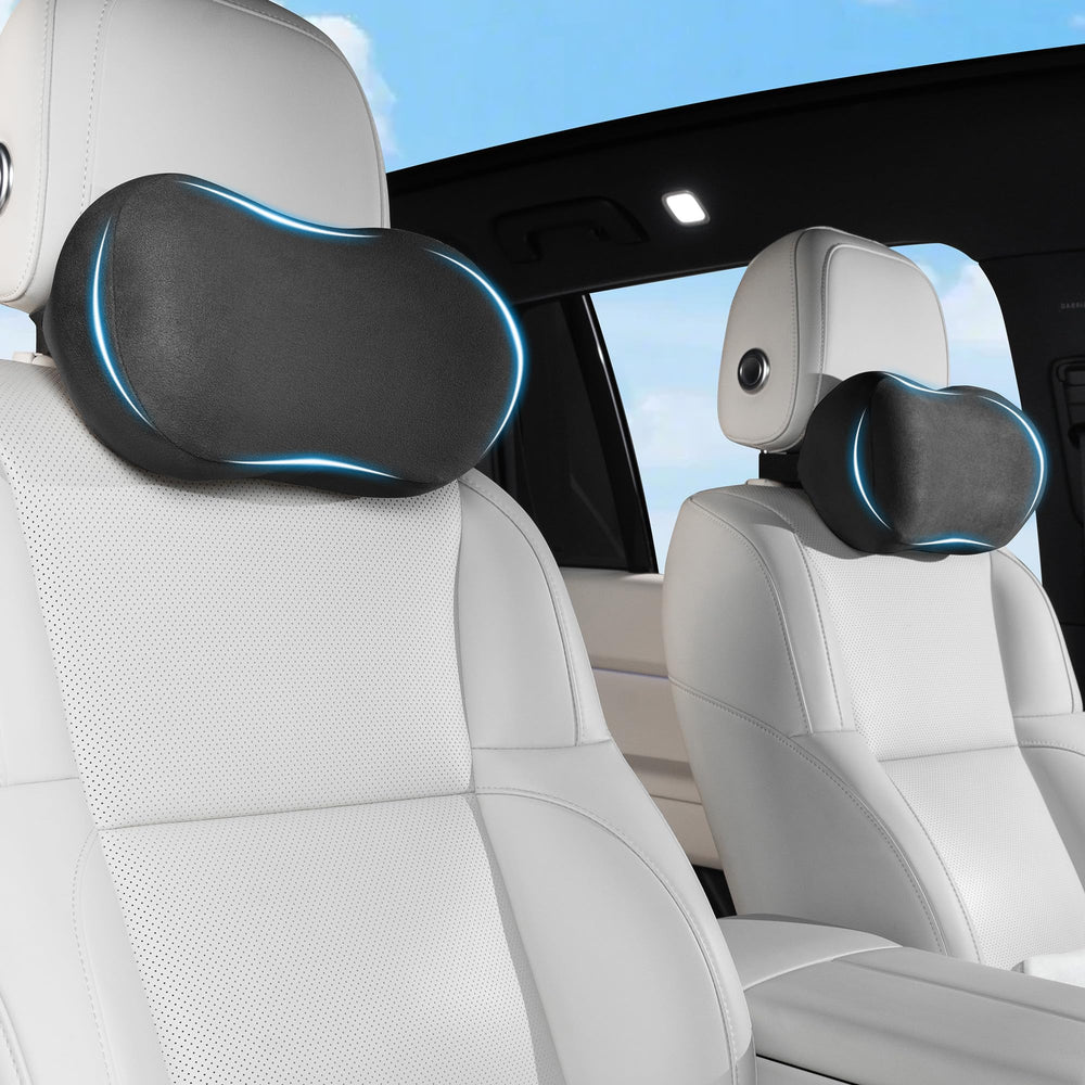 Dapucarin in a road-trip setting showcasing comfort during long journeys