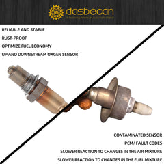 Dasbecan sensor wiring and connectors displayed to confirm correct plug fit and simplify installation