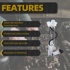 Dasbecan side profile with fuel sock illustrating filtration and pump placement