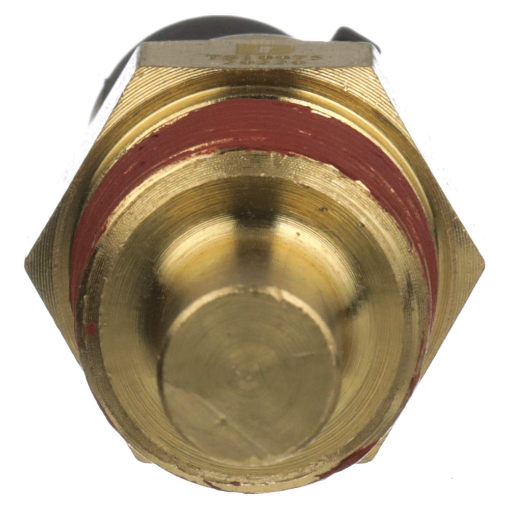 Delphi TS10075 angled profile showing robust housing and long-term reliability benefit
