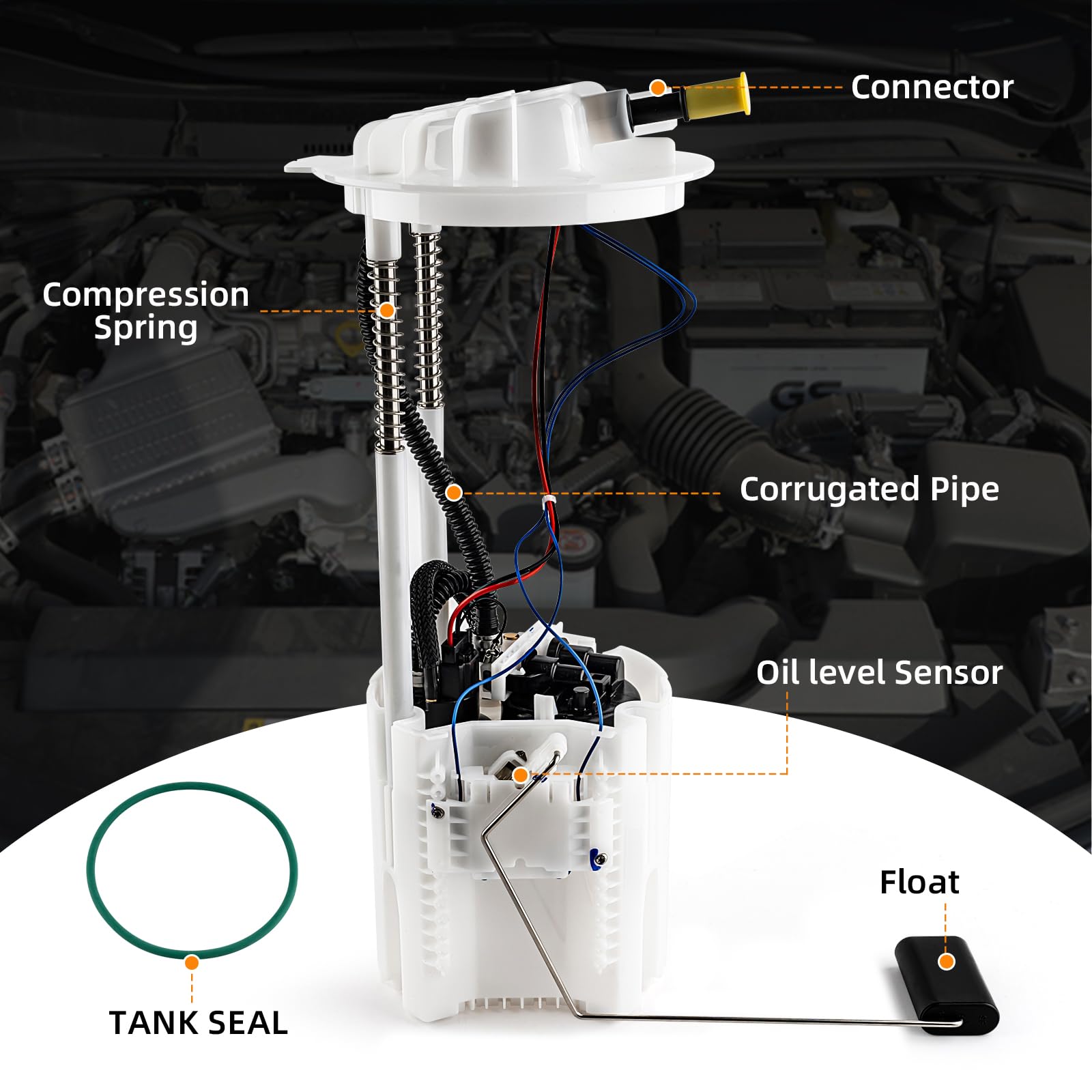 DIRBOERF top label and assembly layout for easy identification and correct install