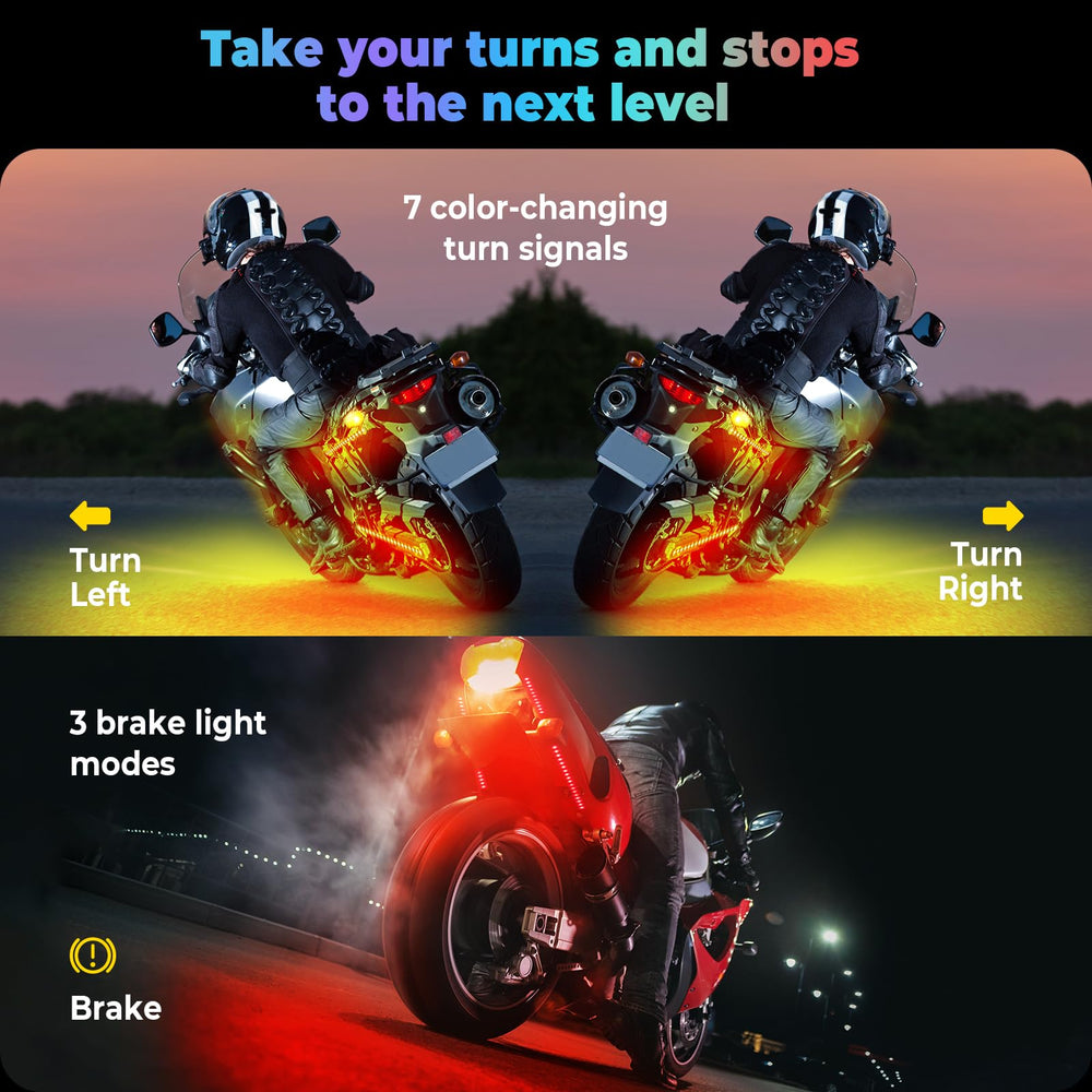 DITRIO rear underglow at night showing dual-zone contrast and clear signaling
