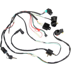 DKIIGAME harness installed on an ATV demonstrating tidy routing and fitment