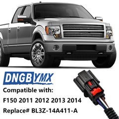 Dngbymx full-length wiring harness demonstrating OEM routing and durability