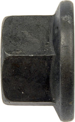 Dorman lug nut beside ruler for scale illustrating 15.5 mm length and 19 mm hex clarity