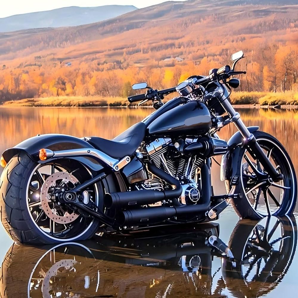 DREAMIZER mirrors on motorcycle during urban ride showcasing stylish blacked look