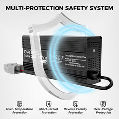 Dyness LED status indicators visible for easy charge monitoring
