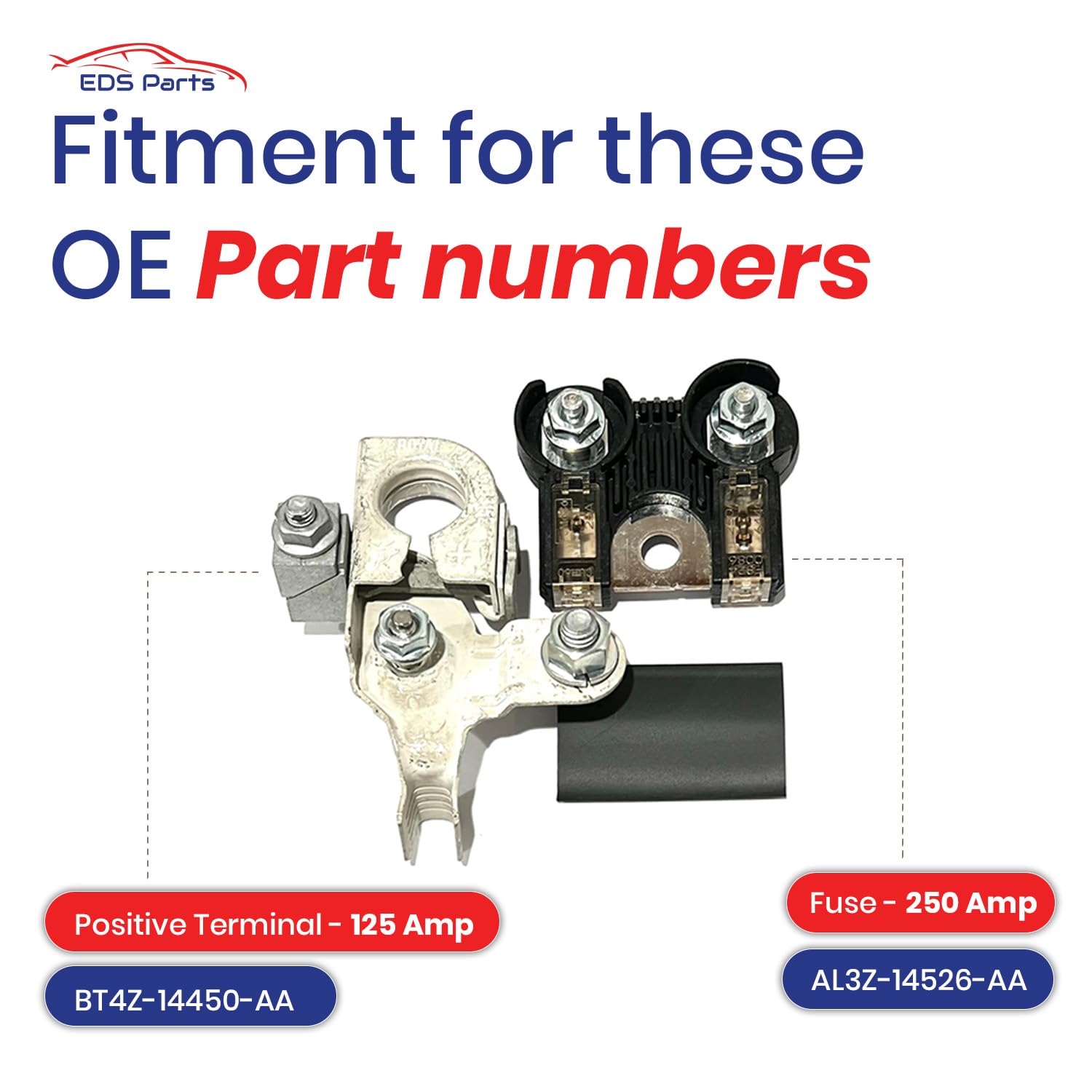 EAPP positive battery terminal close-up highlighting corrosion-free contact and secure clamp benefit