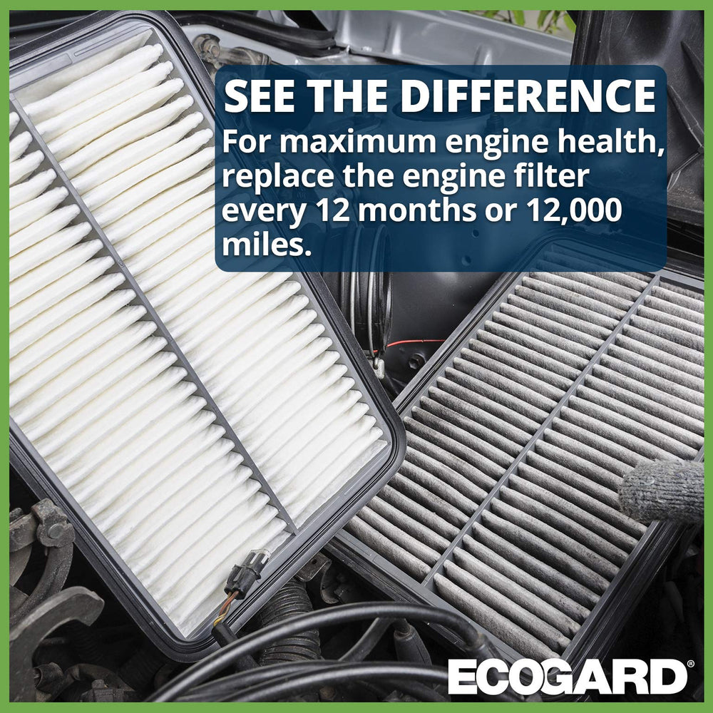 ECOGARD XA10242 label close-up with part number for correct-match benefit
