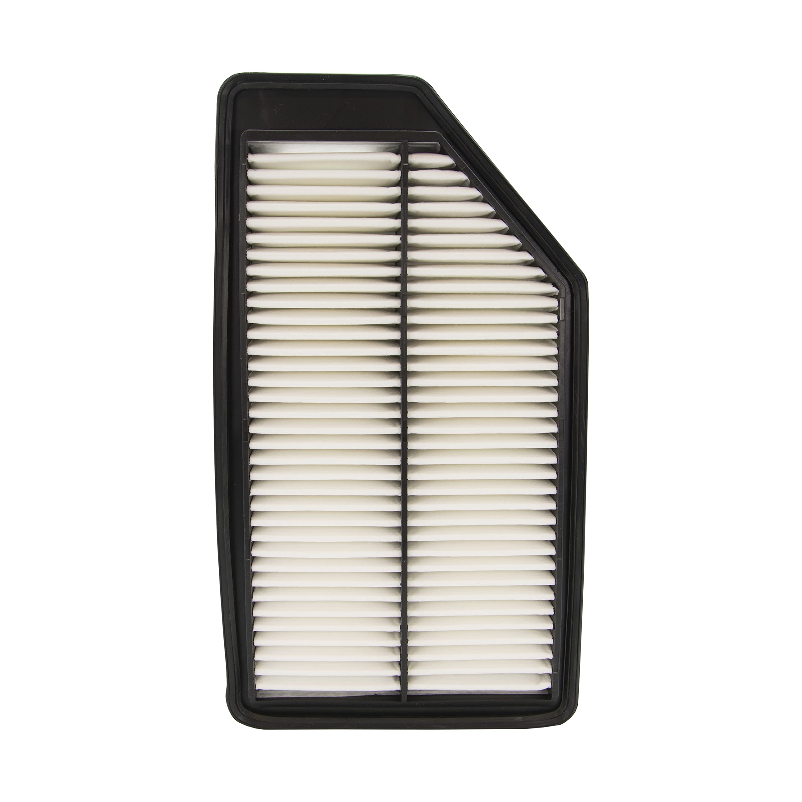 ECOGARD air filter beside a ruler showing dimensions for accurate fit confirmation