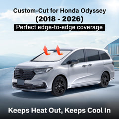 EcoNour close-up reflective surface highlighting heat-reflecting benefit