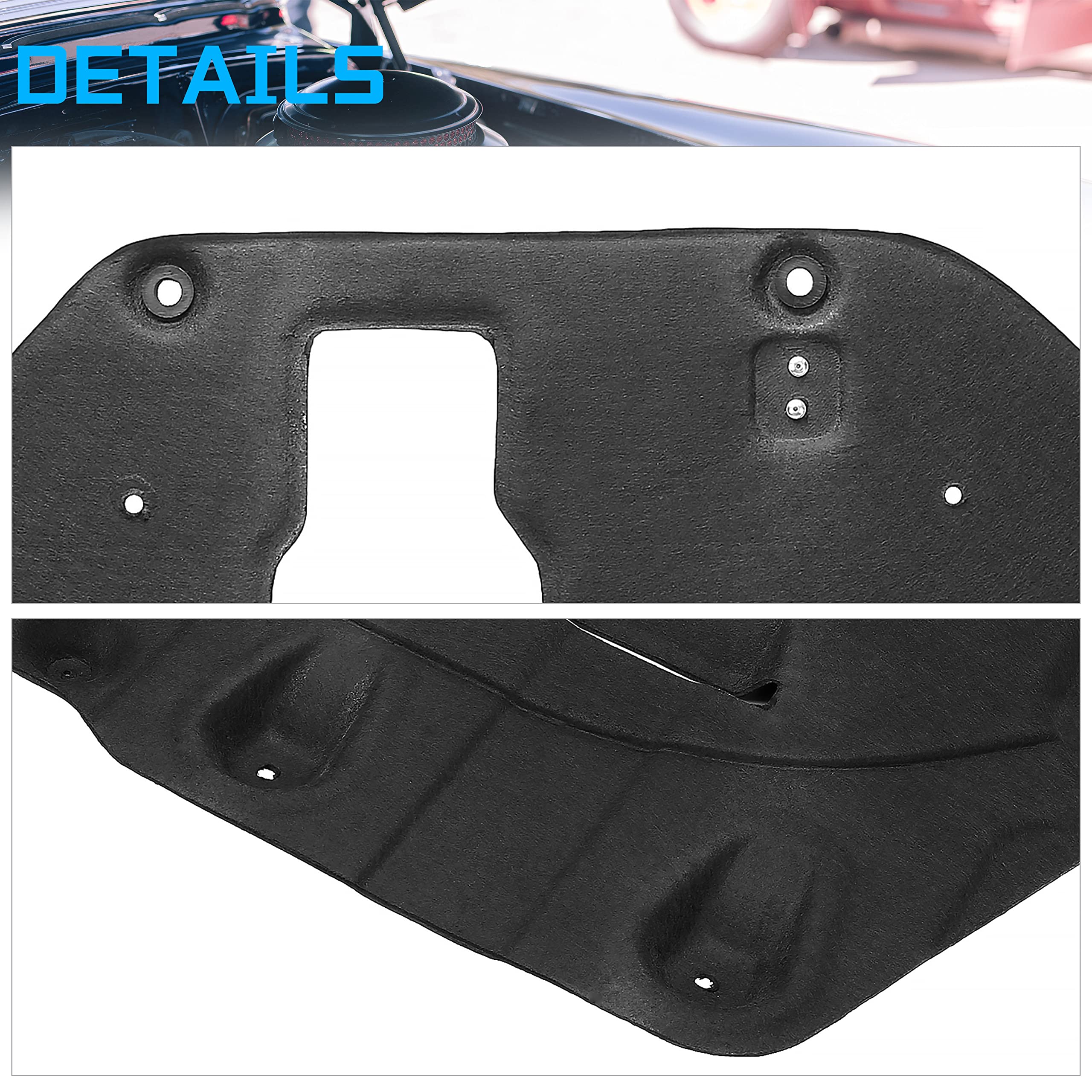 ECOTRIC blocking rocks and debris to protect the engine bay