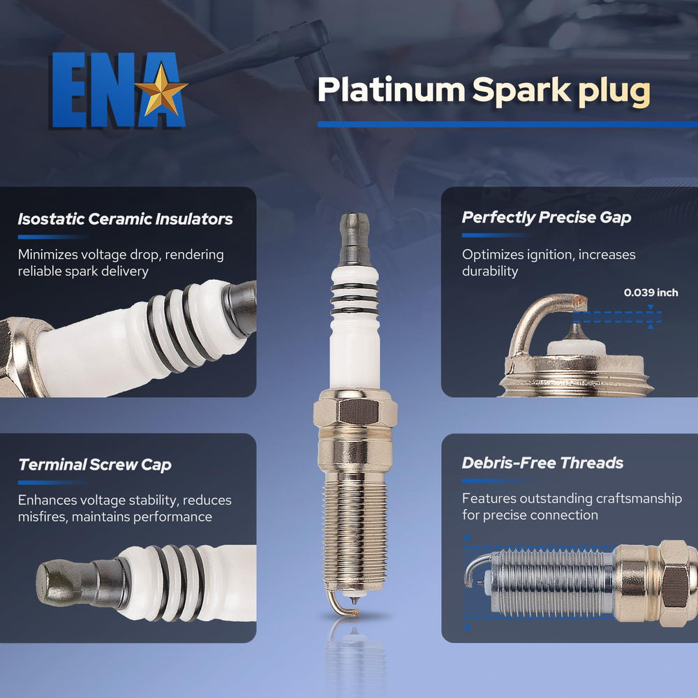 ENA complete kit arranged to show all included coils plugs wires benefit